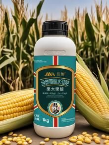 含氨基酸水溶肥 膨果壮果